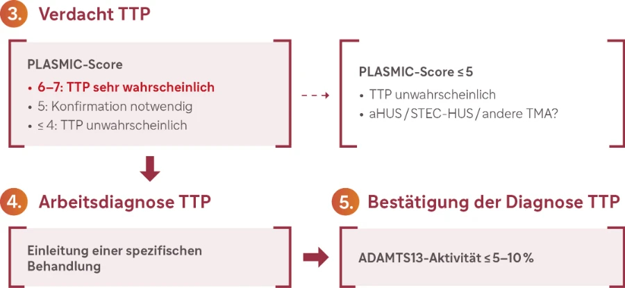 Ein medizinisches Flussdiagramm zur Diagnose von TMA (Thrombotische Mikroangiopathie), unterteilt in fünf Hauptschritte hier Schritt 3 bis 5
