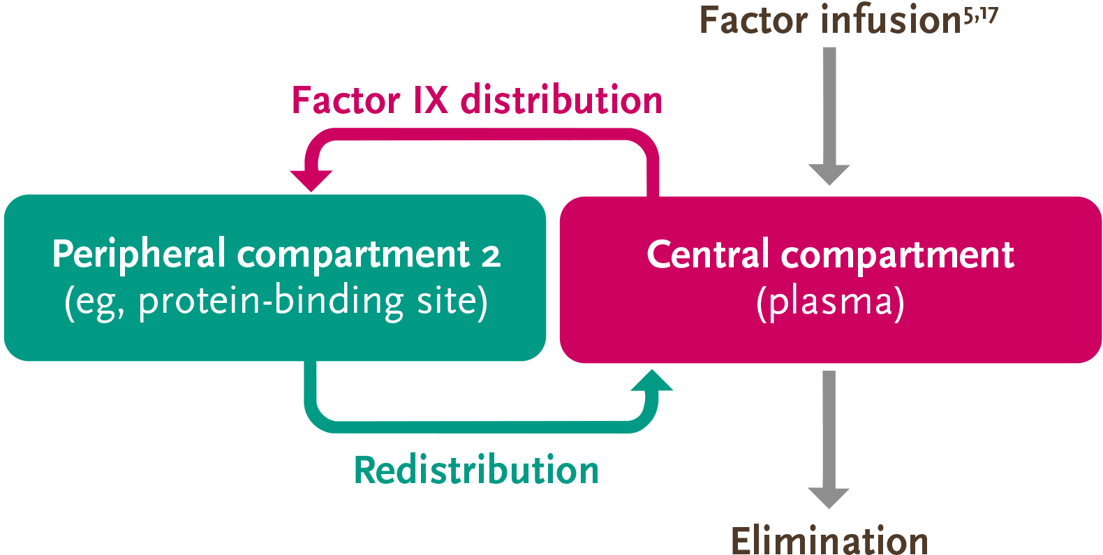 Factor VIII 2-compartment model