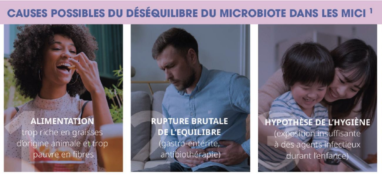 Les causes possibles du déséquilibre du microbiote dans les MICI