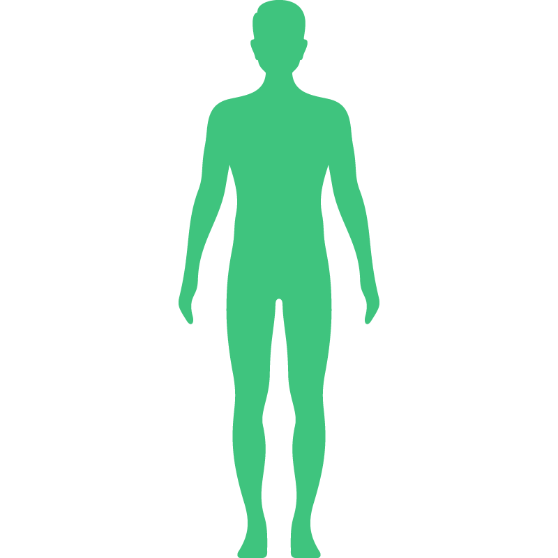 human-body