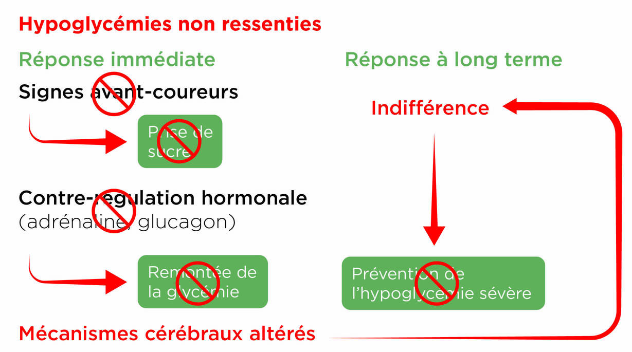 Schéma expliquant le mécanisme des hypoglycémies non ressenties et leurs conséquences à long terme.