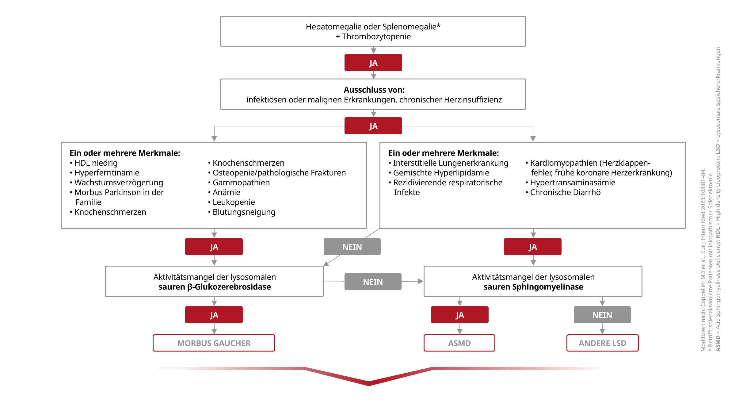 Flussdiagramm zur Diagnose von Hepatomegalie oder Splenomegalie mit Thrombozytopenie, zeigt Entscheidungswege basierend auf Symptomen und Enzymaktivitäten.