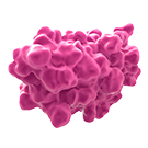 il4- cytokine