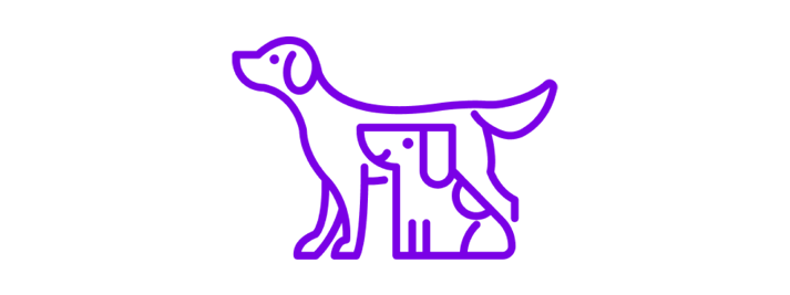 facteur-proximite-animaux