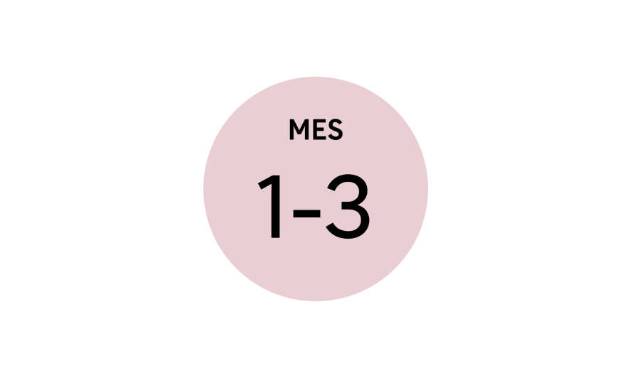 iconos plataforma t coach