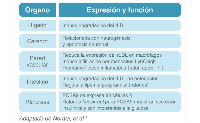 praluent-efectos-expresion-pcsk9-organos-min