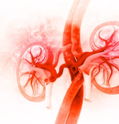 timoglobulina-trasplante-renal