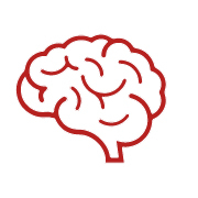 cerebro.2023-12-20-13-07-20