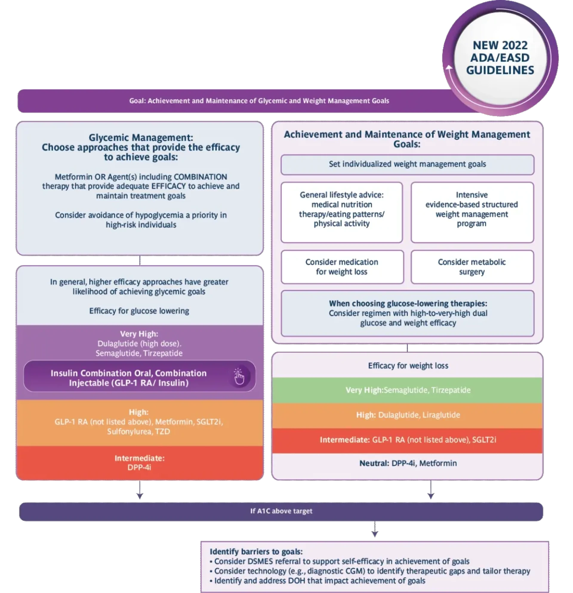 American Diabetes Association Insights American Diabetes Association Insights