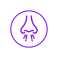 icon-rinitis-alergica