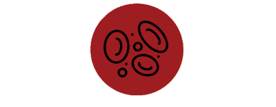 globulos-rojos