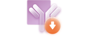 FcRn blockers