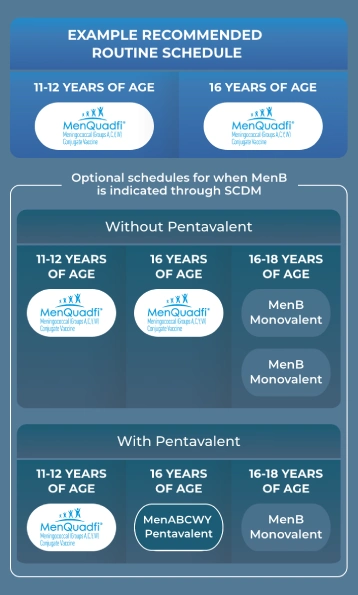 An ACIP schedule chart showing MenQuadfi at ages 11–12 & 16 and MenB Monovalent at 16–18 years, with or without the pentavalent option