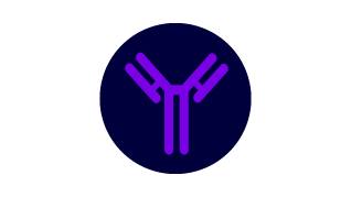 icon iaa