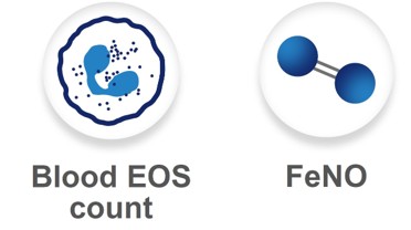 eos feno