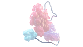 XTEN POLYPEPTIDE